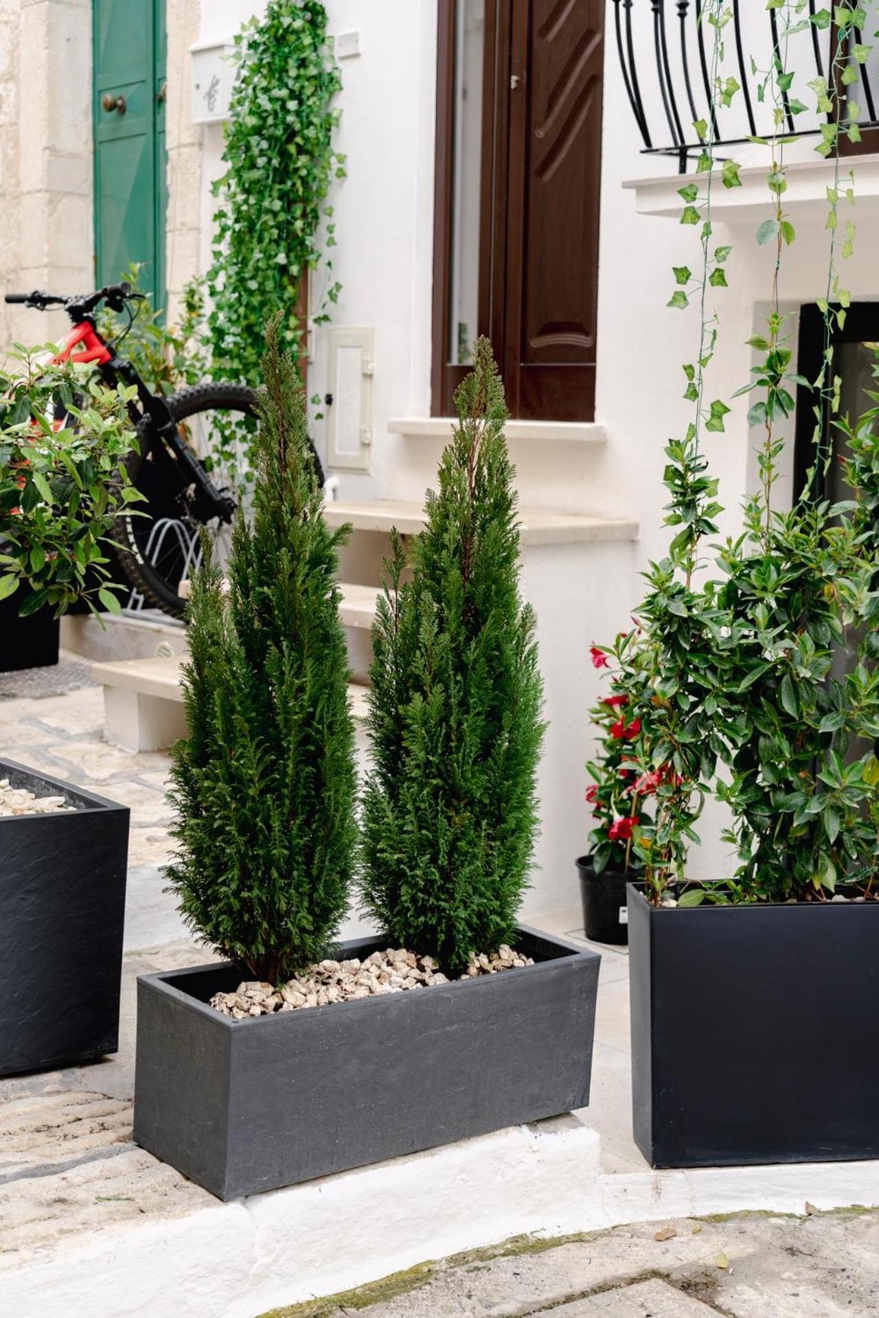 La Maison - Private Wellness Ostuni Exterior foto